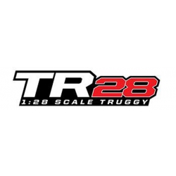 Auto Team Associated - TR28 RTR Truggy 1:28 #20158